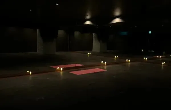 専門性の高い養成講座を開講